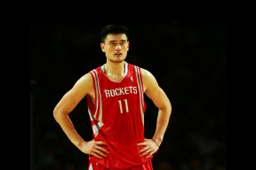 德国马术协会与大学合作，开展马术运动营养研究，优化饮食方案。